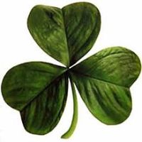 The Shamrock and the Trinity: Why not?